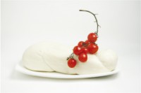 /album/galleria-foto-homepage/treccione-bianco-jpg1/